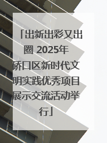 出新出彩又出圈 2025年硚口区新时代文明实践优秀项目展示交流活动举行